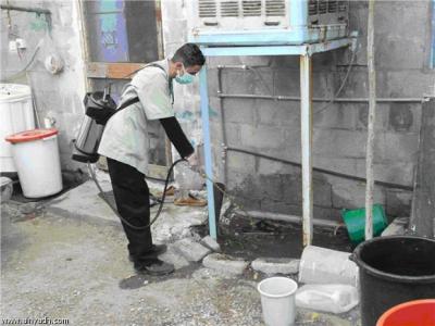  -                            .