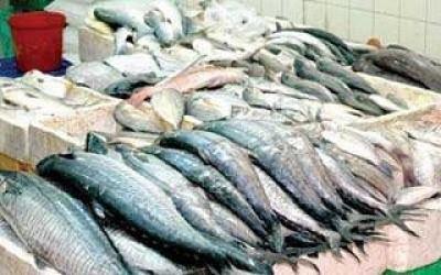  -                            . 