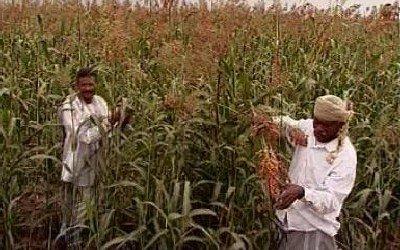  -                  54 %            17.6 %     . 

          74 %    ɡ     ɡ                           ɡ 