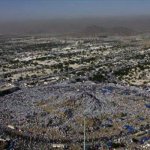  -            ()             .

