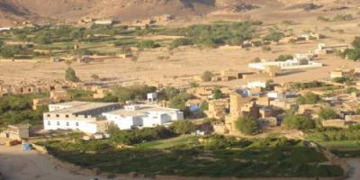  -                  .
