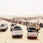  -                                     .
