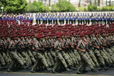  -                                       .
