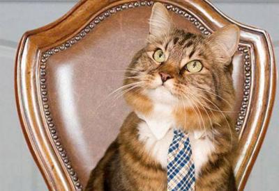  -    Ҕ       ߔ         ɡ    .         .