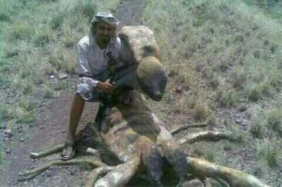  -                        .