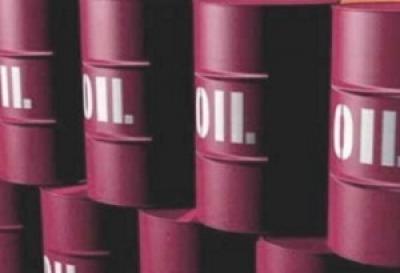  -                       2013 ..