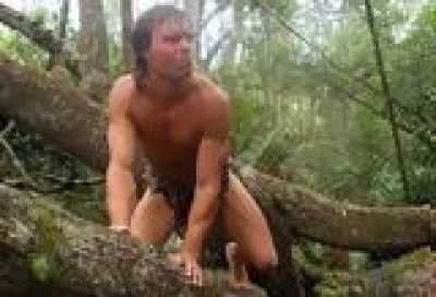  -               1986         .