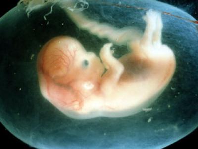  -       ʡ             ڡ     "  ..