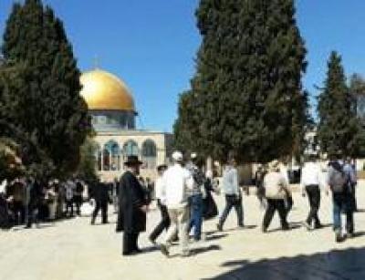  -            ɡ    46    ″,    ..