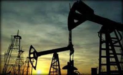  -               32      (    )  .