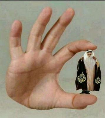  -              ɡ            ..