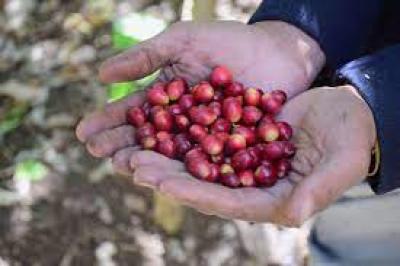  -    є..         ..
