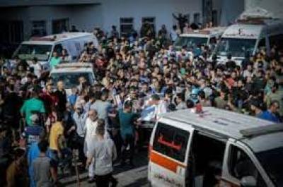  -   400   25      24  ..
